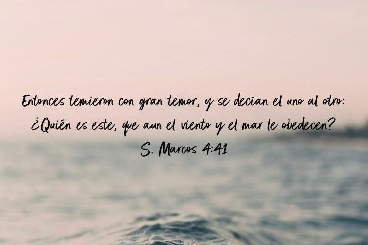 DEVOCIONAL – RECONOCIENDO LA AUTORIDAD DE JESÚS DEVOCIONAL – RECONOCIENDO LA AUTORIDAD DE JESÚS