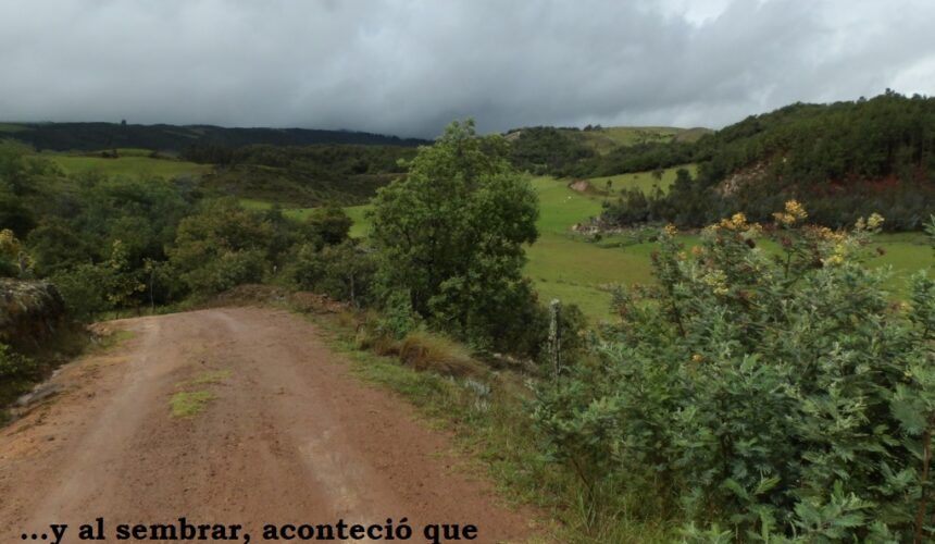 ¿Cómo preparar un terreno para la siembra? ¿Cómo preparar un terreno para la siembra?
