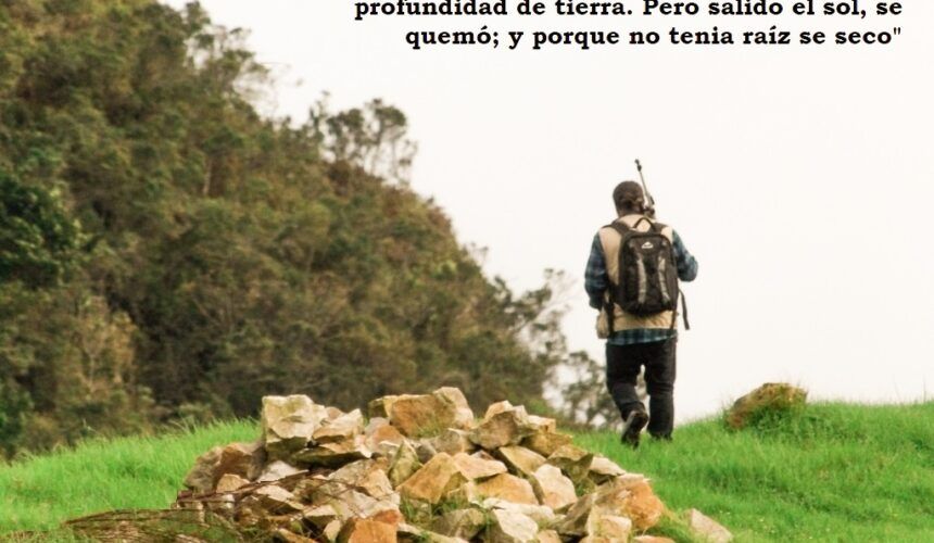 ¿Cómo preparar un terreno para la siembra? ¿Cómo preparar un terreno para la siembra?