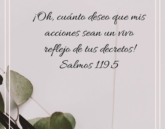 Felicidad Felicidad