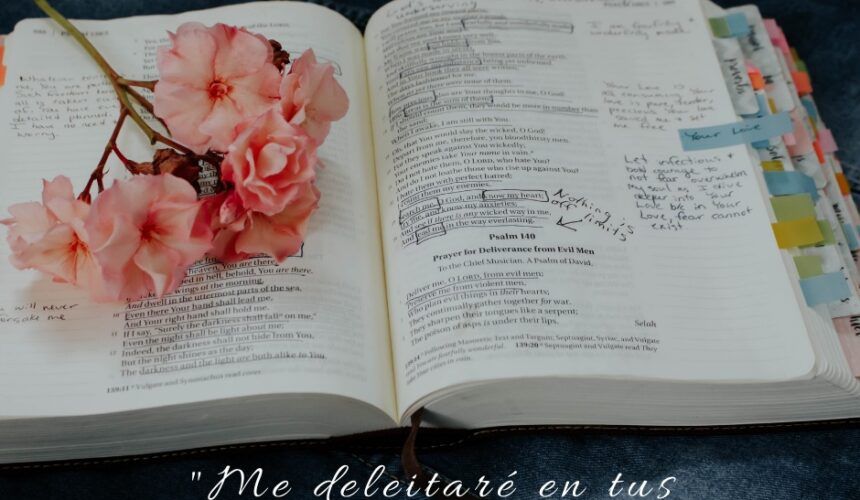 Tu Palabra, Mi Tesoro Tu Palabra, Mi Tesoro