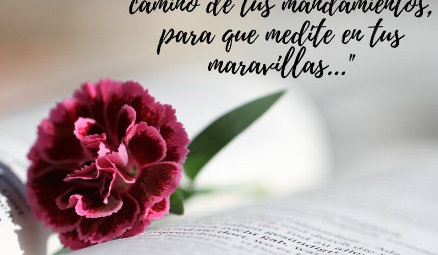 Tu Palabra, Me Vivifica Tu Palabra, Me Vivifica