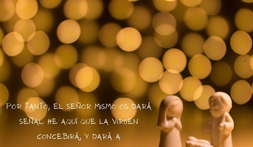 ¿Qué celebras esta Navidad? ¿Qué celebras esta Navidad?