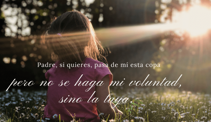 Hágase Tu Voluntad Hágase Tu Voluntad