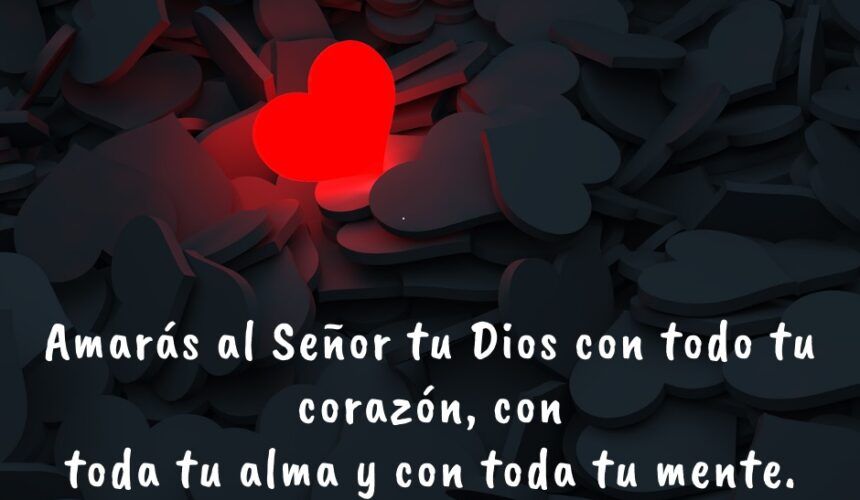 Amor a Prueba Amor a Prueba