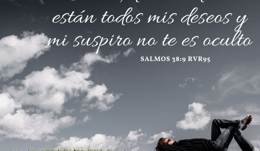 No Renuncies No Renuncies