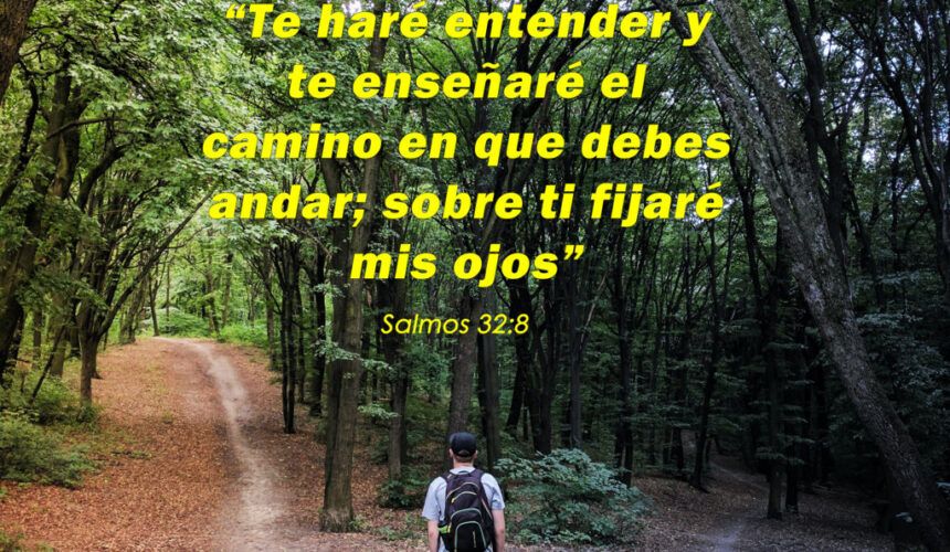 Caminando hacia el Propósito Caminando hacia el Propósito