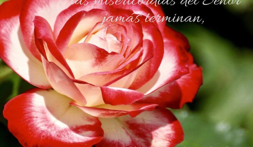 Amor que Persevera Amor que Persevera
