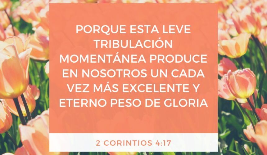 El Peso de Su Gloria El Peso de Su Gloria
