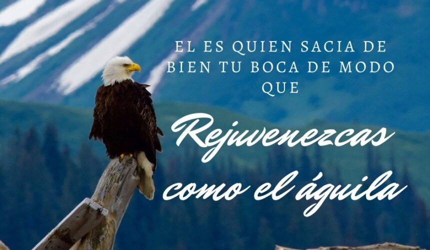 Rejuvenece Rejuvenece