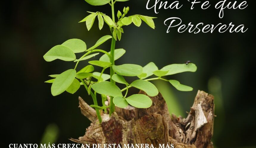 Fe que Persevera Fe que Persevera