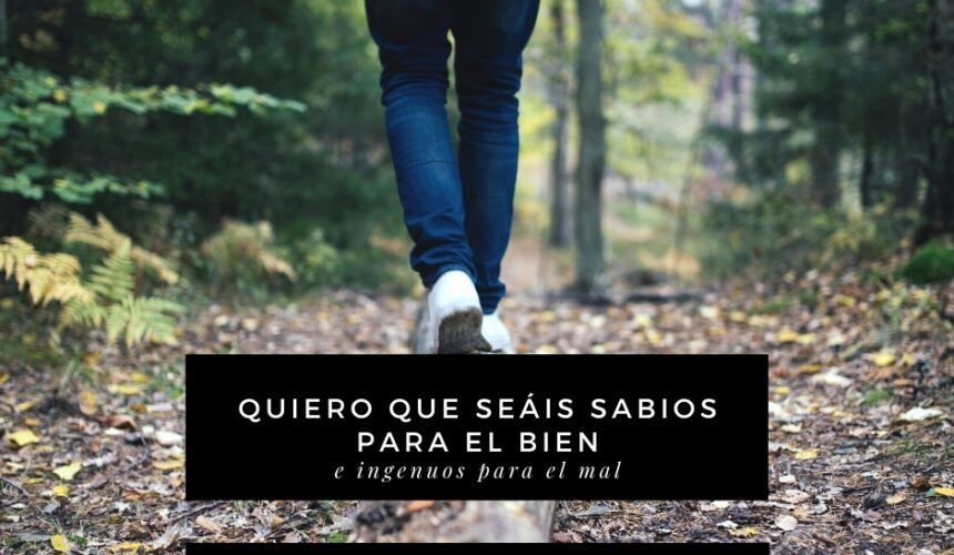 Sagaces en nuestro Andar Sagaces en nuestro Andar