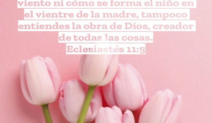 El Verdadero Actuar de Dios El Verdadero Actuar de Dios
