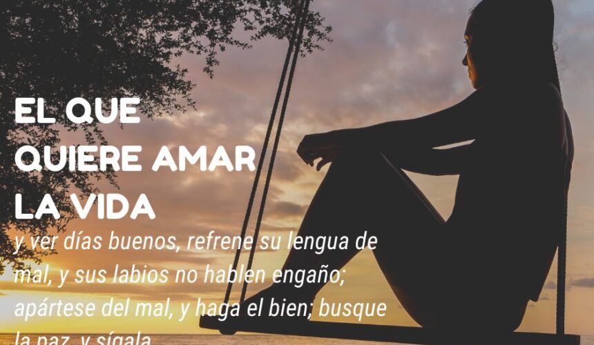 Una Buena Conciencia Una Buena Conciencia