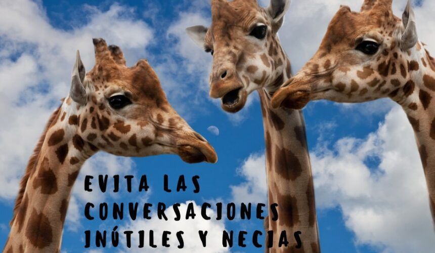 2 Timoteo: Conversaciones Inútiles 2 Timoteo: Conversaciones Inútiles