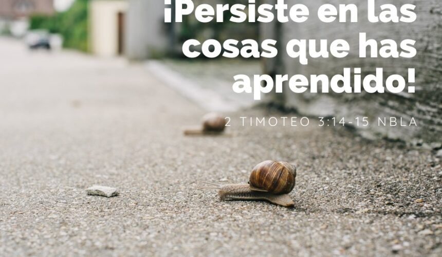2 Timoteo A pesar de, ¡Persiste! 2 Timoteo A pesar de, ¡Persiste!
