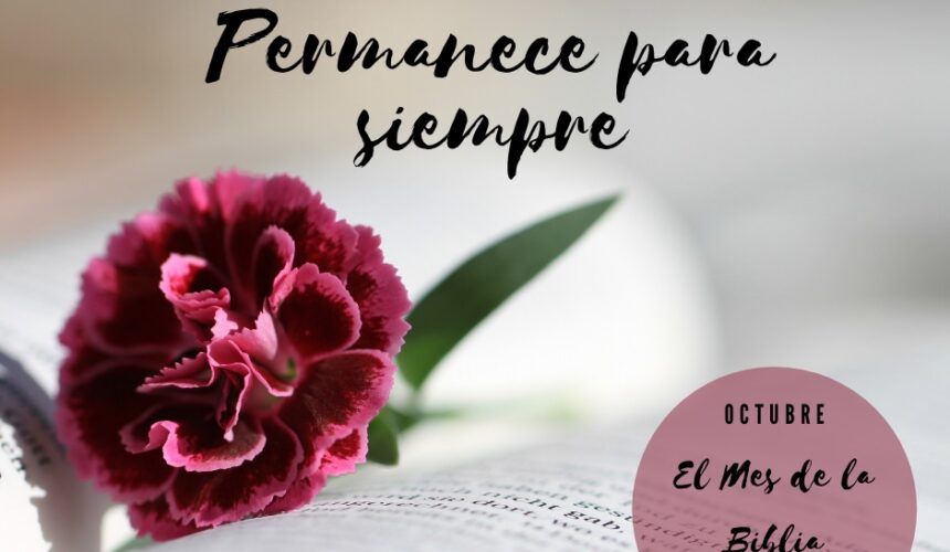 Su Palabra Permanece Su Palabra Permanece