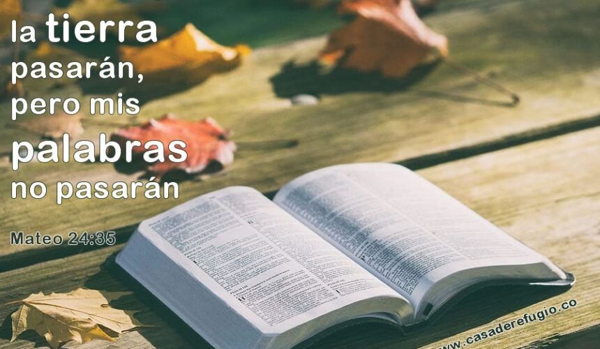 El Libro perpetuo El Libro perpetuo