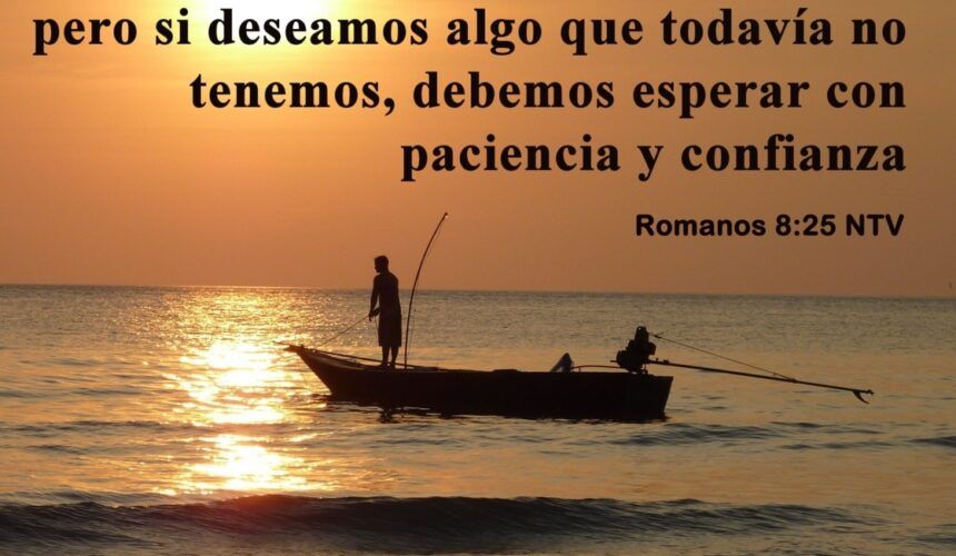 Paciencia y Confianza Paciencia y Confianza