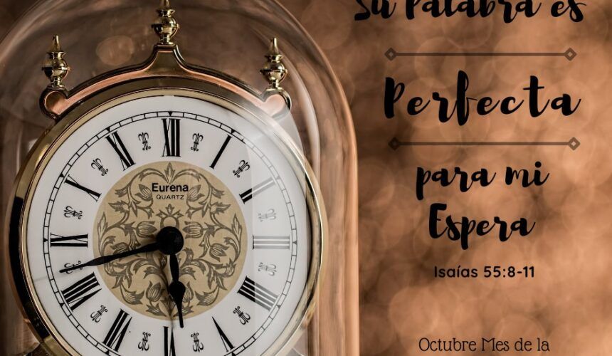 Perfecta para Mi Espera Perfecta para Mi Espera