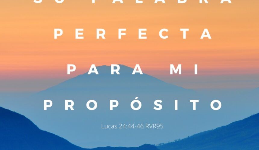 Perfecta para Mi Propósito Perfecta para Mi Propósito