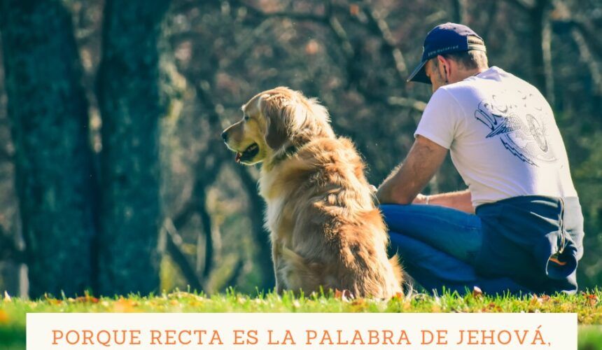 La Perfecta Fidelidad de Dios La Perfecta Fidelidad de Dios