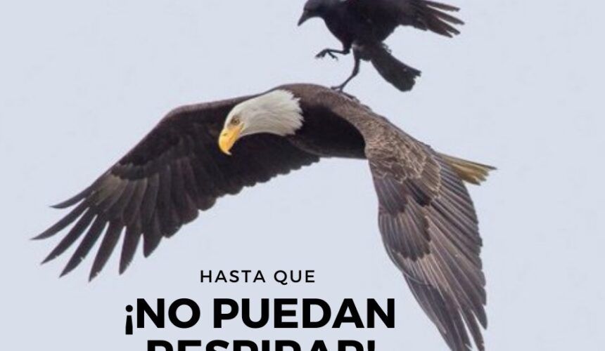 ¡Hasta que no puedan Respirar! ¡Hasta que no puedan Respirar!