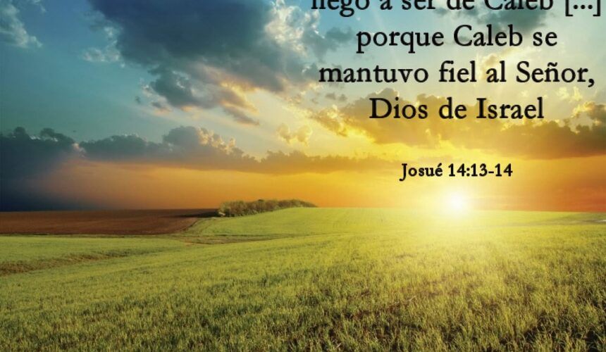 La recompensa a la Fidelidad La recompensa a la Fidelidad