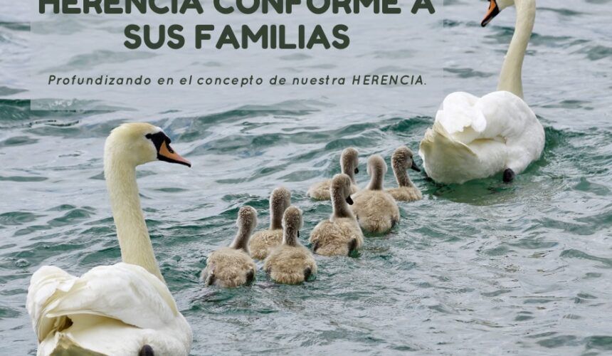 Herencia Conforme a sus Familias Herencia Conforme a sus Familias
