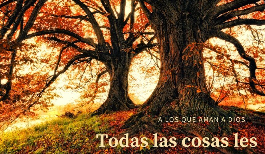 Propósito de los que le aman Propósito de los que le aman