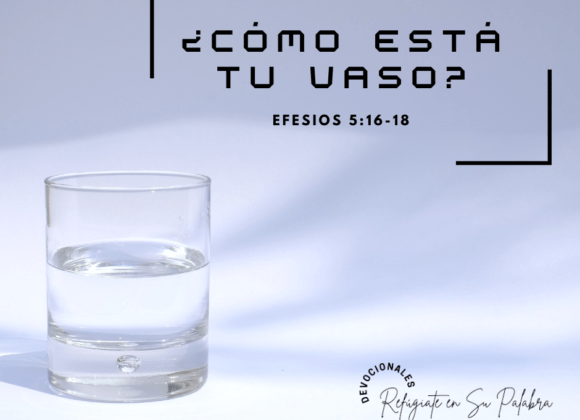 ¿Cómo está tu Vaso? ¿Cómo está tu Vaso?