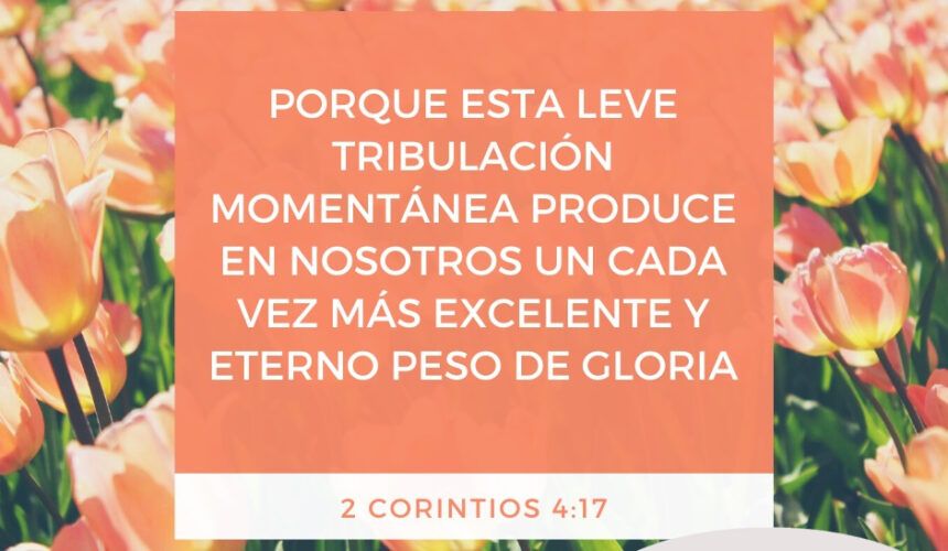 El peso de su Gloria El peso de su Gloria