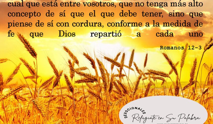 Adiós al Orgullo Adiós al Orgullo