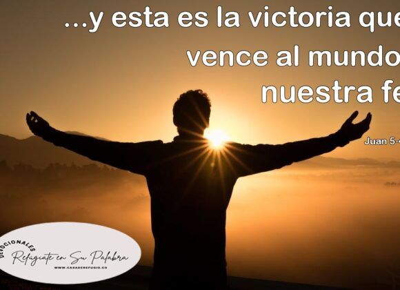 Cree solamente Cree solamente