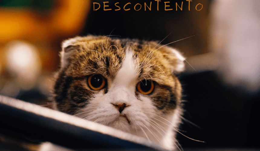 El Virus del Descontento El Virus del Descontento