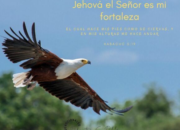 Elévate Sin Temor Elévate Sin Temor