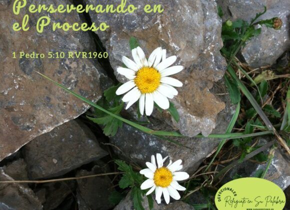 Perseverando en el Proceso Perseverando en el Proceso