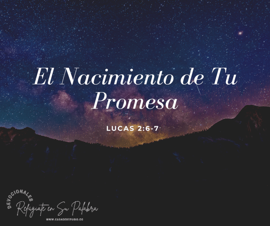 El Nacimiento de tu Promesa