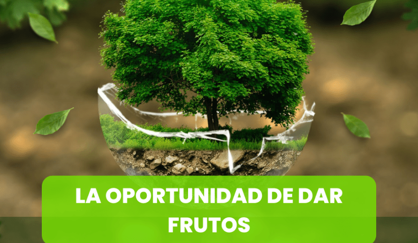 La Oportunidad de Dar Frutos La Oportunidad de Dar Frutos