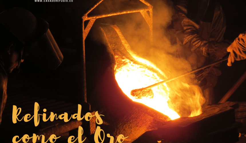 Refinados Como el Oro Refinados Como el Oro