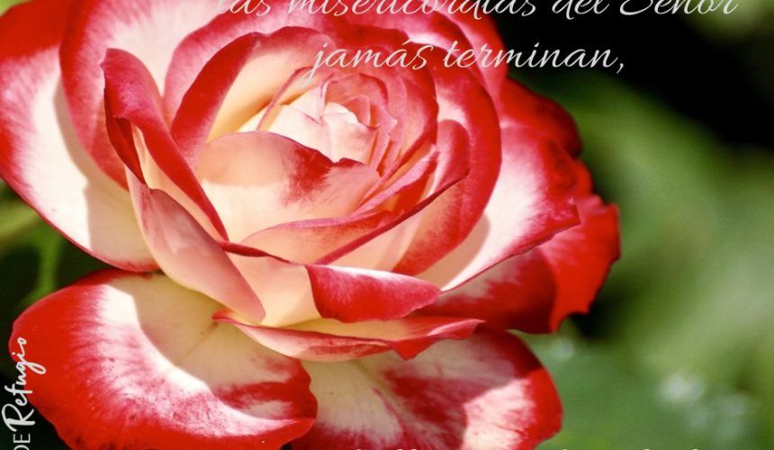 Amor que Persevera Amor que Persevera
