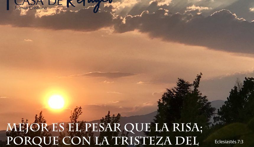 De la Amargura a la Risa De la Amargura a la Risa