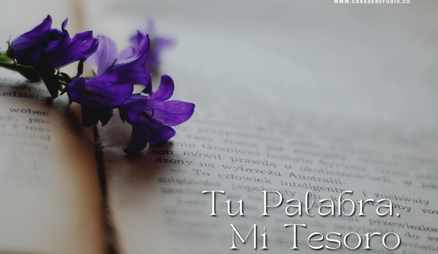 Tu Palabra, Mi Tesoro Tu Palabra, Mi Tesoro