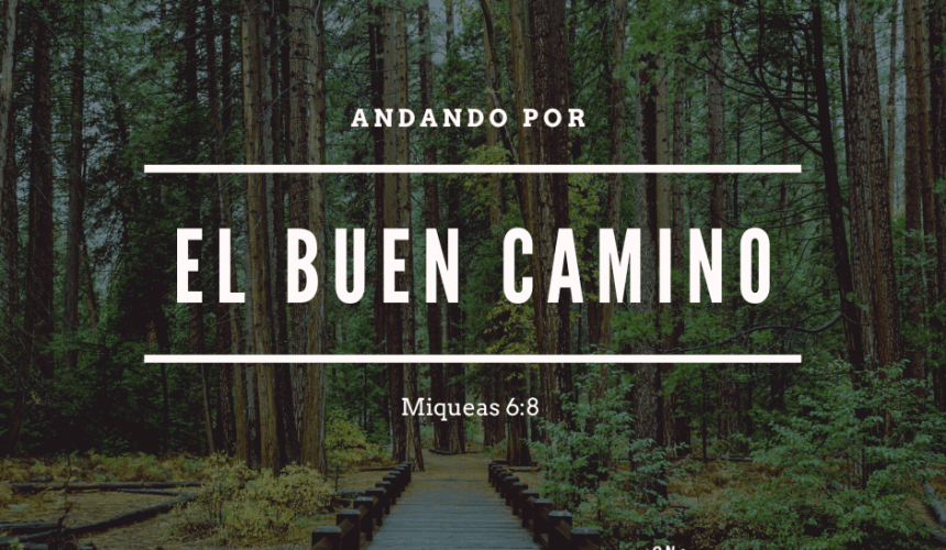 Andando por el Buen Camino Andando por el Buen Camino