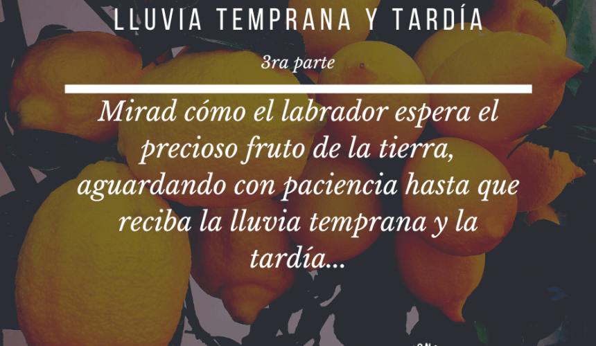 Lluvia Temprana y Tardía III Lluvia Temprana y Tardía III