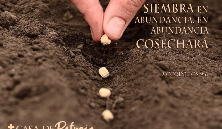 Los Pequeños Comienzos Los Pequeños Comienzos