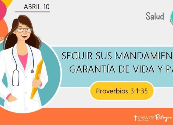 Seguir sus Mandamientos: garantía de vida y paz