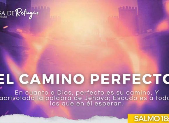 EL CAMINO PERFECTO 27-04-25