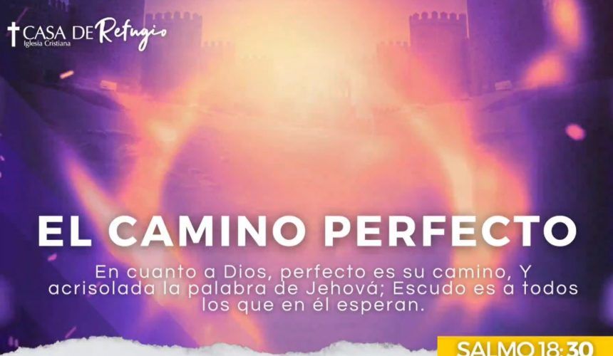 EL CAMINO PERFECTO 27-04-25