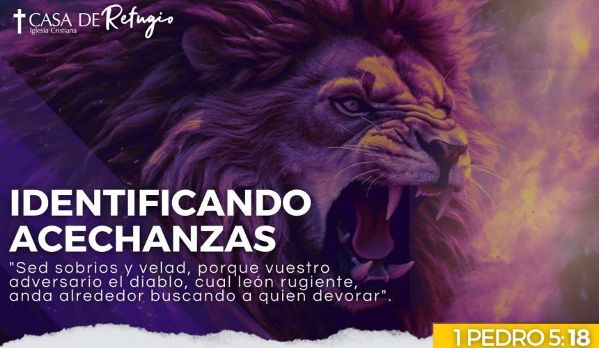 IDENTIFICANDO ACECHANZAS 04-05-25